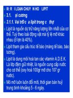 Bài giảng bệnh lý học thú y : Rối loạn chuyển hóa các chất part 5 pot