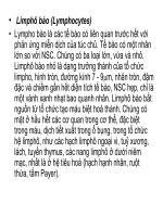 Bài giảng bệnh lý học thú y : Tế bào viêm part 5 pdf