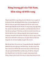 Năng lượng gió của Việt Nam, tiềm năng và triển vọng_1 docx