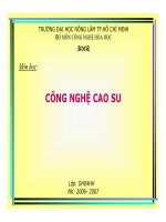 Công nghệ cao su - Phần 1 potx