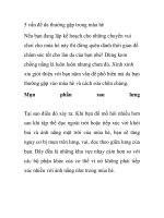 5 vấn đề da thường gặp trong mùa hè ppt