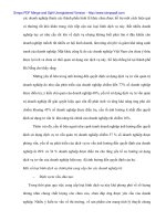 Giải pháp đẩy mạnh xúc tiến thương mại trong xuất nhập khẩu của Chính phủ cho Doanh nghiệp ở Đà Nẵng - 7 ppsx