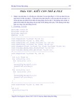 BÀI TẬP TIN HỌC ĐẠI CƯƠNG - PHẦN VIII pptx