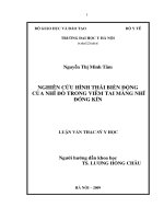 Nghiên cứu hình thái biến động của nhĩ đồ trong viêm tai màng nhĩ đóng kín