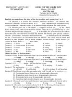 ĐỀ THI THỬ TỐT NGHIỆP THPT Năm học: 2010 - 2011 Môn Tiếng Anh pps