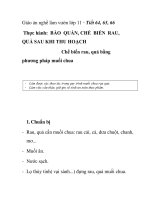 Giáo án nghề làm vườn lớp 11 - Tiết 64, 65, 66 Thực hành: BẢO QUẢN, CHẾ BIẾN RAU, QUẢ SAU KHI THU HOẠCH doc