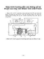 Giáo trình hướng dẫn các thông số kỹ thuật của máy nén Bitzer môi chất Freon phần 1 pps