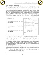 Giáo trình phân tích đối tượng dữ liệu mang bộ mô tả kiểu động được sử dụng trong quá trình thực hiện p3 ppt