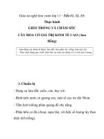 Giáo án nghề làm vườn lớp 11 - Tiết:31, 32, 33: Thực hành GIEO TRỒNG VÀ CHĂM SÓC CÂY HOA CÓ GIÁ TRỊ KINH TẾ CAO ( hoa Hồng) potx