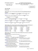 KỲ THI HỌC SINH GIỎI NĂM 2011 Môn thi: TIẾNG ANH - Mã đề thi 294 ppt