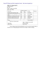 Hoàn thiện công tác kế tóan nguyên vật liệu tại Cty cổ phần dược và thiết bị y tế Hà Tĩnh - 4 pptx