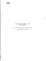 TổNG CôNG TY VIệT THắNG CTCP và các công ty con báo cáo tài chính hợp nhất cho năm tài chính kết thúc ngày 31 tháng 12 năm 2012