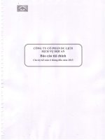 công ty cổ phần du lịch dịch vụ hội an báo cáo tài chính cho kỳ kế toán 6 tháng đầu năm 2013