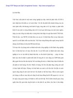 Vai trò FDI trong tổng thể chiến lược phát triển kinh tế Việt Nam - 1 ppsx