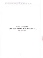 Công ty cổ phần tập đoàn thép tiến lên báo cáo tài chính quý 4 năm 2012