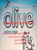 THÀNH PHẦN HƯƠNG VỊ DẦU OLIU doc