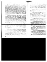 Kỹ thuật chăn nuôi gà Nòi part 8 pdf