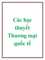 Các học thuyết Thương mại quốc tế pot