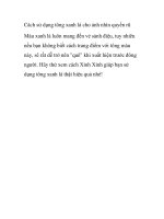 Cách sử dụng tông xanh lá cho ánh nhìn quyến rũ pdf