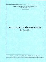 Báo cáo tài chính hợp nhất qúy 4 năm 2013 công ty cổ phần tập đoàn thép tiến lên group
