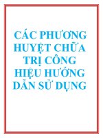 CÁC PHƯƠNG HUYỆT CHỮA TRỊ CÔNG HIỆU HƯỚNG DẪN SỬ DỤNG pdf