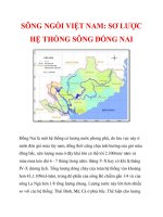 SÔNG NGÒI VIỆT NAM: SƠ LƯỢC HỆ THỐNG SÔNG ĐỒNG NAIĐồng Nai là một hệ ppsx