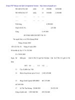 Kế tóan thanh tóan về các khỏan phải thu và phải trả khách hàng tại Cty Xuất nhập khẩu - 5 docx