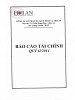 công ty cổ phần du lịch dịch vụ hội an báo cáo tài chính quý 2 năm 2014