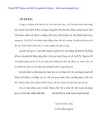 Quản trị chiến lược đúng đắn để đứng vững và phát triển của Cty ELMACO - 1 pps