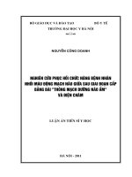 Nghiên cứu phục hồi chức năng bệnh nhân nhồi máu động mạch não giữa sau giai đoạn cấp bằng bài “thông mạch dưỡng não ẩm” và điện châm