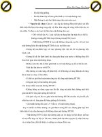 Giáo trình phân tích vị trí mặt cắt ngang nền đường biến đổi dọc theo tuyến địa hình p3 pot