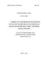 Nghiên cứu tình hình đái tháo đường ở người cao tuổi tại thành phố phan thiết, tỉnh bình thuận năm 2010