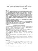 SIÊU ÂM DOPPLER TRONG BÀN CHÂN TIỂU ĐƯỜNG doc