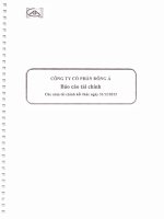 công ty cổ phần đông á báo cáo tài chính cho năm tài chính kết thúc 31 tháng 12 năm 2013