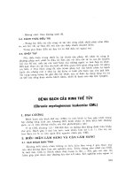 BỆNH BẠCH CẦU KINH THỂ TỦY doc