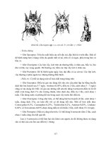 Giáo trình chăn nuôi dê part 10g doc