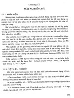 Giáo trình KỸ THUẬT NGUỘI - Chương 12 docx