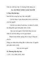 Giáo án sinh học lớp 12 chương trình nâng cao - Bài: SỰ PHÁT SINH LOÀI NGƯỜI ppsx