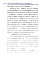 Phân tích tình hình kinh doanh ngoại tế tại Ngân hàng No&PTNT Đà Nẵng - 5 pot