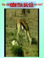 bài 43 trao đổi chất trong hệ sinh thái