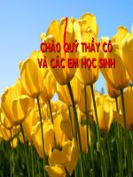 bài giảng toán lớp 1phép cộng trong phạm vi 7