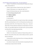 Thực hiện công tác thông quan hạt nhựa nhập khẩu tại Cty CP công nghệ phẩm Đà Nẵng - 2 pps