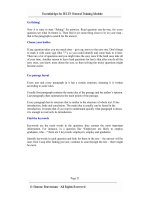 Ace The IELTS Essential tips for IELTS General Training phần 3 pdf