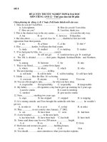 ĐỀ LUYỆN THI TỐT NGHIỆP THPT& ĐẠI HỌC MÔN TIẾNG ANH 12 - ĐỀ 8 ppt