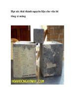 Hạt nix thải thành nguyên liệu cho vữa bê tông xi măng ppt