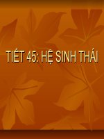 hệ sinh thái trong chương trình sinh học 12