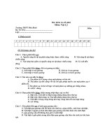 Bài kiểm tra 45 phút Môn: Vật Lý - Đề 1 pps