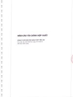 Công ty cổ phần tập đoàn thép tiến lên báo cáo tài chính hợp nhất cho năm tài chính kết thúc ngày 31 tháng 12 năm 2013 đã được kiểm toán