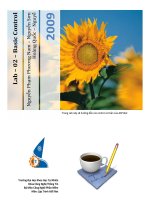 LAB – 02 – BASIC CONTROL ppt