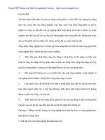 Công nghiệp hóa nông thôn để ổn định và phát triển bền vững - 1 potx